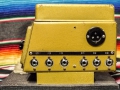 Binson Echorec 2 T7E 6 knops Black Plexi front 1962 met toonregeling, zijkant met 3 input en output gemodificeerd van Geloso naar jacks en nog een originele aansluiting voor Binson Pre-mixer.