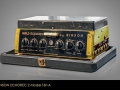 Binson Echorec 2 T6FA 6 (Guild model) knops met Guild label 1961. Was er ook met Binson label.