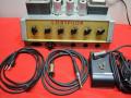 Binson Loryphon 3 buizenversterker 18 watt, met voetschakelaar en alle toebehoren.