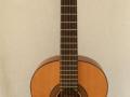 Alpha A -100 Spruce top, Mahogany sides, front.