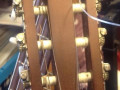 Alpha A-200,  Spruce top,  Mahogany sides, back en neck, headstock front.