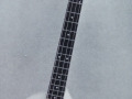 V256 Vox Guitar Organ Bass uitvoering 4 snarig 1966, front.