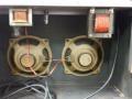 Dynacord Amigo buizenkombo 8 watt 1964-1967 grijs, 2 kanalen en vibrato, grijs,  Isophon 8 inch 15 watt speakers.