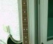 Dynacord Assymetric bass (fabrikaat Welson), front.