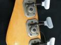 Dynacord Texas bass 1968, headstock back.