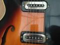 Echolette EG3 Thinline Sunburst fabrikaat Hoyer, Bill Lawrence Billy Lorento WillyStich pickups.