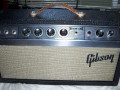Gibson Reverb Echo met Adineko Oil Can system.