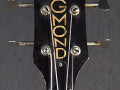 Colorado Bass 2EBS1, 2 pickups, headstock front.