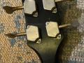 Colorado Bass 2EBS1, headstock back.