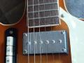 Egmond Princess 5 met 2 pickups, registerknoppen en pickups.