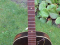 Egmond fifties ES101 serie semi acoustic met dolfijnvorm holes, 1 pickup  browburst,  front.