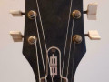 Bonanza S2 herfstbruin genuanceerd, kam, Varifort halspen,  headstock front.