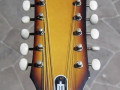 Double Six S1, 12 string hoogglans bruin genuanceerd,  headstock front.