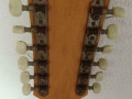 Double Six S1, headstock back.
