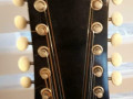 Texas Ranger 12S 12 snarige Western Steelstring gitaar, headstock front met Varifort halspen.