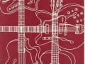 Folder acoustische gitaren bordeaux.