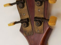 Egmond Banjo Ukelele 4 nylon snaren 16 frets, a-d-fis-b gestemd ca. 1950, headstock back.