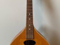 Egmond mandoline ca. 1960, front.