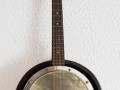 Egmond mandolinebanjo 8 snaren ca. 1960, front.
