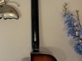 Egmond Club hollow body Hofner style basgitaar, 2 pickups, back.