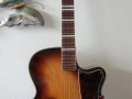 Egmond ES 57-1 CA  accoustische jazz gitaar uit ca. 1955 met catseye klankgaten met druppelvorm, front.