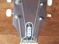 Gipsy M1 acoustische jazzgitaar naturel, bonkonko blad, Varifort hals, headstock front.