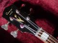 Cameo Artist Colorado Bass Amber Sunburst 1968, 2 pickups, headstock  front,  made in Holland.