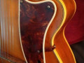 Goldene Harfe acoustiche jazz guitar, slagplaat.