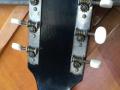 Antoria Jazz archtop fifties, made by Egmond, headstock back.