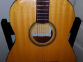 Meazzi Adamo classic acoustics 1979, body front.