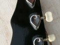 Meazzi Conquest vioolbas 1 pickup 1963, headstock back.