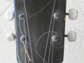 Meazzi Vanguard gitaar 2 pickups  1961-1964, headstock front.