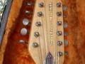 V258 Spitfire MK XII acoustic 1967 Coffee Col Sunburst, 3 pickups UK model, headstock front.