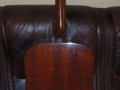 Roderich Paesold P165, back.