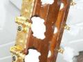 Roderich Paesold P140, headstock back.