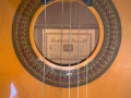 Roderich Paesold P145, Holland label.