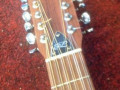 Roderich Paesold P150 12 string, headstock front.