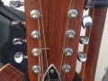 Roderich Paesold P150 12 string, headstock front.