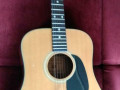 Roderich Paesold P185,  Spruce top, Mahogany sides, Ebony toets, front.