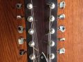 Roderich Paesold P230 12 string, headstock front.