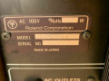 Roland VX-66 Vocal Amplifier analog BBD delay Effect Unit, display typeplaatje.