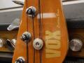 Bass Custom type 3002 Honey , Walnut body Maple neck, made in Japan by Matsumoku 1982-1985,  headstock front.
