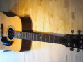 Vega V-845, Top Solid Spruce Naturel, Rosewood back,  sides, toets en bridge, Mahogany neck.