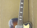Vox 3 pickups 1963, fabrikaat Welson Italy, front.