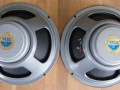 Celestion speaker G12L T1252 1966, gebruikt in hybride Vox versterkers als 460, 760, 4120 en 7120, back.