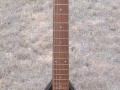 Mark III Black, made by North Coast Music USA 1998-2001, front.