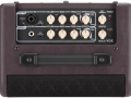 2012- AGA30 Acoustic Black panel, Master en Anti Feedback controls, Tube Pre (ECC82/12AU7) kanaal, Normal Solid State kanaal. Mic XLR-Phantom, Controls Volume Bass, Treble, 3 effecten, Gain H-L.