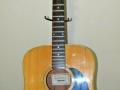 Voxton X-214 , 12 string acoustic, made in Japan, front.